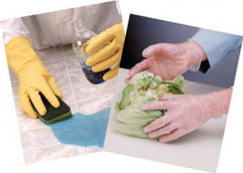 georgia-enterprises-food-work-gloves